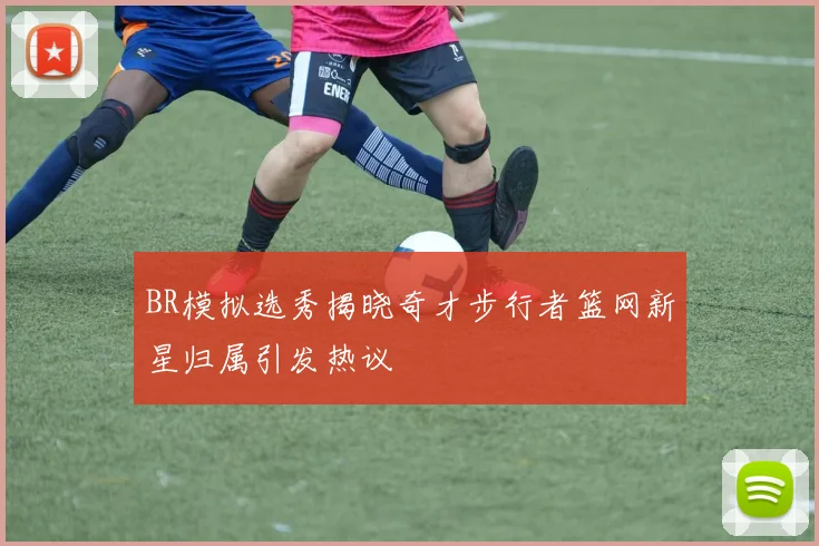 BR模拟选秀揭晓奇才步行者篮网新星归属引发热议