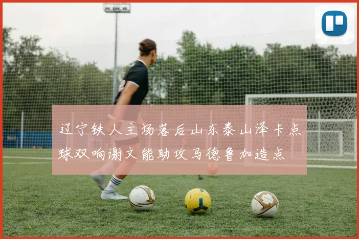 辽宁铁人主场落后山东泰山泽卡点球双响谢文能助攻马德鲁加造点